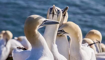 开云真人娱乐官网-曼城中场受伤，英超豪门面临考验，英超曼城主场