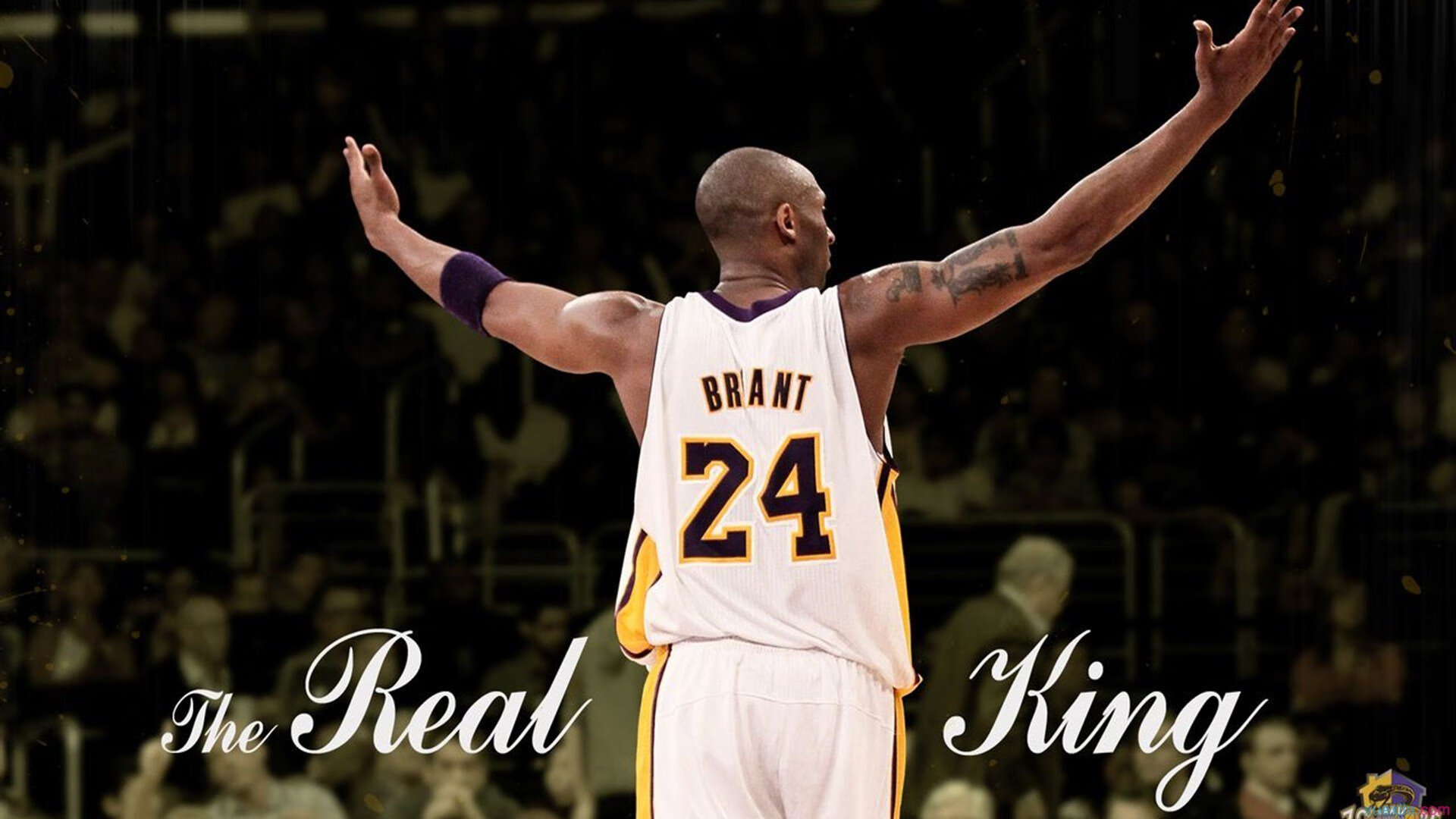 _鹈鹕队精彩反击，完成逆转_，鹈鹕被逆转