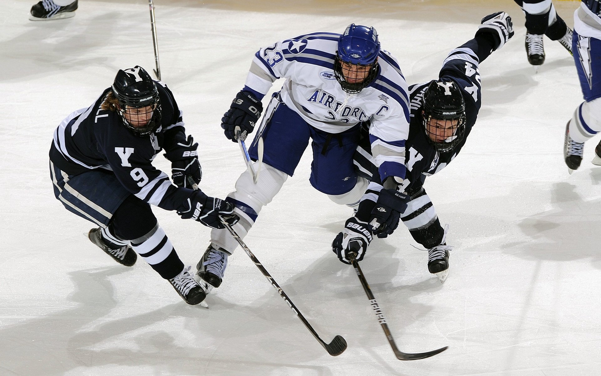 图卢兹成功保级,继续征战法甲,图卢兹insa